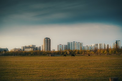 白天的绿色草地附近的城市建筑
